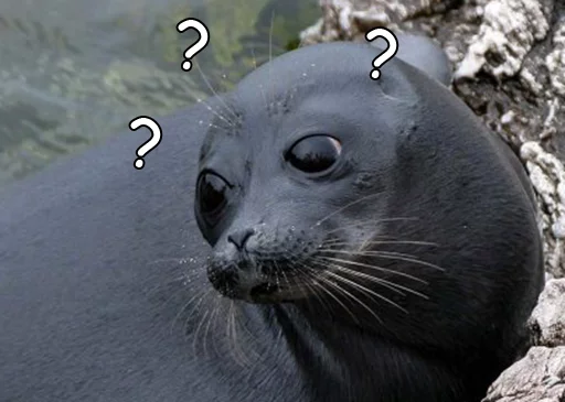 ❔ Стикер «Seals Тюлени» для Telegram