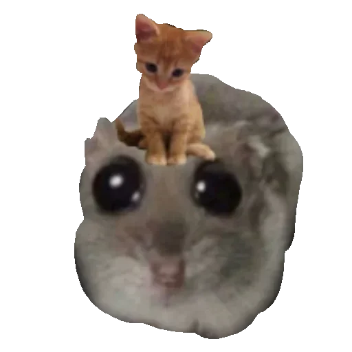 🐱 Стикер «Хомяцек» для Telegram