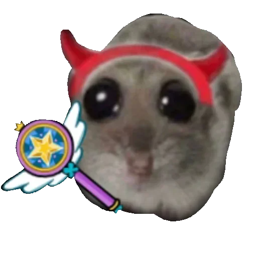 🪄 Стикер «Хомяцек» для Telegram