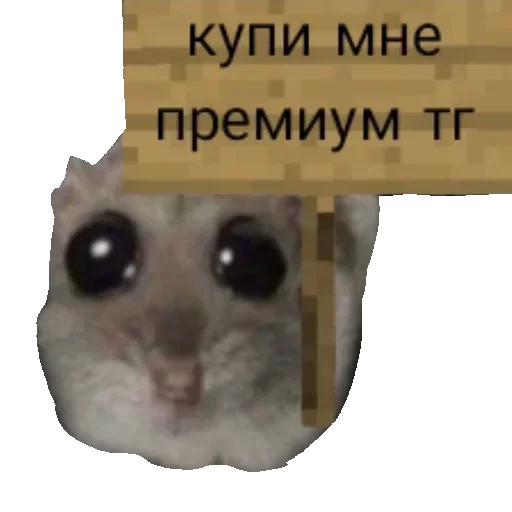 🙏 Стикер «Хомяцек» для Telegram