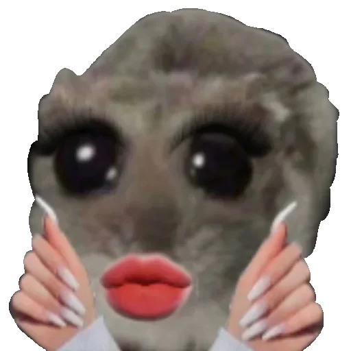 💅 Стикер «Хомяцек» для Telegram