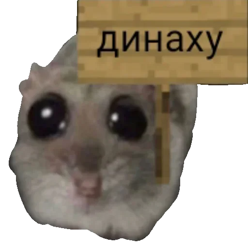 🖕 Стикер «Хомяцек» для Telegram