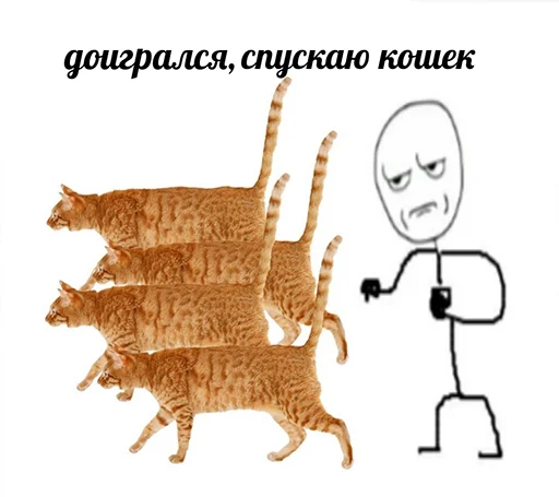 🐈 Стикер «Ну давай давай нападай» для Telegram