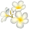 🌼 Эмодзи «Come To Uae» для Telegram