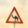 🐪 Эмодзи «Come To Uae» для Telegram
