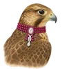 🦅 Эмодзи «Come To Uae» для Telegram