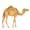 🐫 Эмодзи «Come To Uae» для Telegram