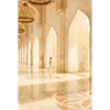 💛 Эмодзи «Come To Uae» для Telegram