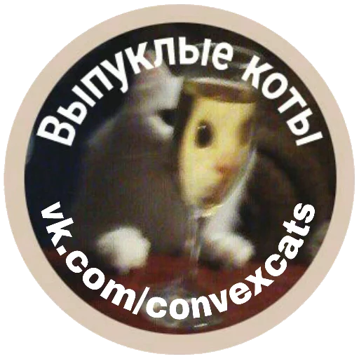 Стикерпак Выпуклые коты для Telegram — скачать