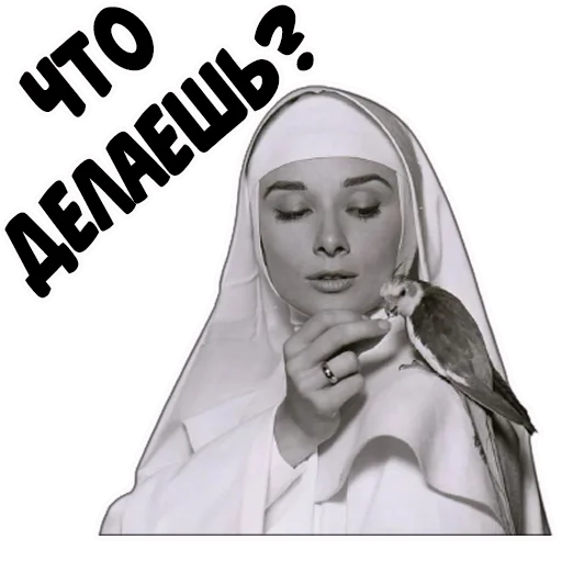 😊 Стикер «coolnuns» для Telegram