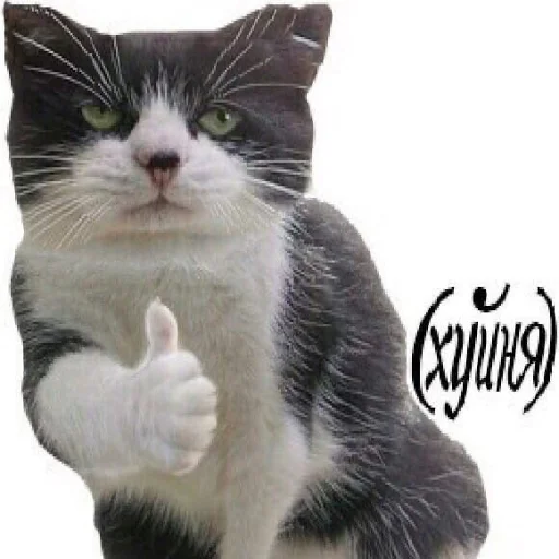👍 Стикер «STИКЕРЫ-XYИКЕРЫ vol.1» для Telegram