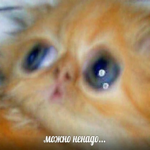 😰 Стикер «STИКЕРЫ-XYИКЕРЫ vol.1» для Telegram