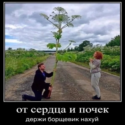 🌷 Стикер «STИКЕРЫ-XYИКЕРЫ vol.1» для Telegram