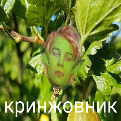 🤢 Стикер «STИКЕРЫ-XYИКЕРЫ vol.1» для Telegram