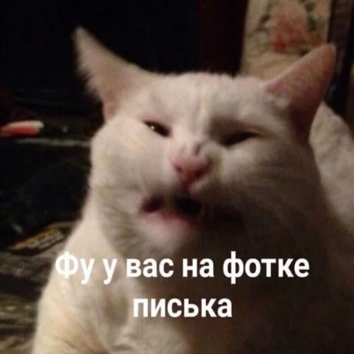 🥴 Стикер «STИКЕРЫ-XYИКЕРЫ vol.1» для Telegram