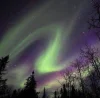 🤩 Эмодзи «Ёжик И Звёзды» для Telegram