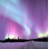 🤩 Эмодзи «Ёжик И Звёзды» для Telegram