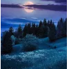 🤩 Эмодзи «Ёжик И Звёзды» для Telegram