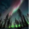 🤩 Эмодзи «Ёжик И Звёзды» для Telegram