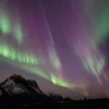 🤩 Эмодзи «Ёжик И Звёзды» для Telegram