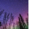 🤩 Эмодзи «Ёжик И Звёзды» для Telegram