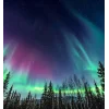 🤩 Эмодзи «Ёжик И Звёзды» для Telegram