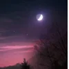 🤩 Эмодзи «Ёжик И Звёзды» для Telegram