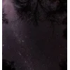 🤩 Эмодзи «Ёжик И Звёзды» для Telegram
