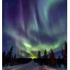 🤩 Эмодзи «Ёжик И Звёзды» для Telegram