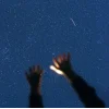 🤩 Эмодзи «Ёжик И Звёзды» для Telegram