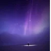 🤩 Эмодзи «Ёжик И Звёзды» для Telegram