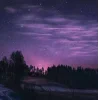 🤩 Эмодзи «Ёжик И Звёзды» для Telegram