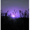 🤩 Эмодзи «Ёжик И Звёзды» для Telegram