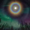 🤩 Эмодзи «Ёжик И Звёзды» для Telegram