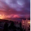 🤩 Эмодзи «Ёжик И Звёзды» для Telegram