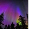 🤩 Эмодзи «Ёжик И Звёзды» для Telegram