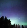 🤩 Эмодзи «Ёжик И Звёзды» для Telegram