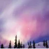 🤩 Эмодзи «Ёжик И Звёзды» для Telegram