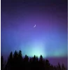 🤩 Эмодзи «Ёжик И Звёзды» для Telegram