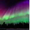 🤩 Эмодзи «Ёжик И Звёзды» для Telegram