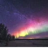 🤩 Эмодзи «Ёжик И Звёзды» для Telegram