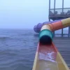 🤩 Эмодзи «Ёжик И Звёзды» для Telegram