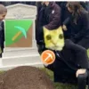 😺 Эмодзи «Сотик Про» для Telegram
