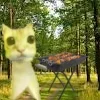 🍢 Эмодзи «Сотик Про» для Telegram