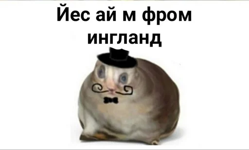 🇬🇧 Стикер «Cvcv» для Telegram
