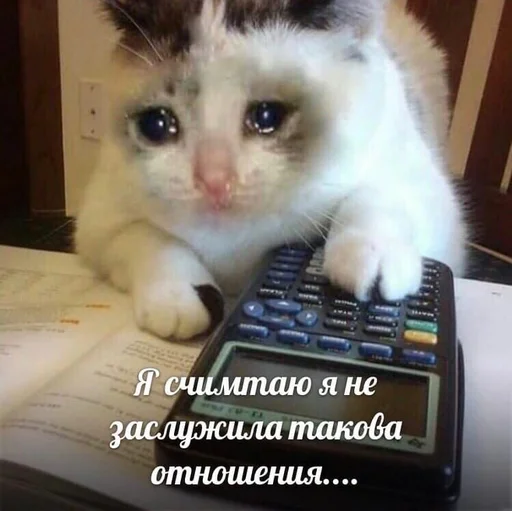 🥺 Стикер «Cvcv» для Telegram