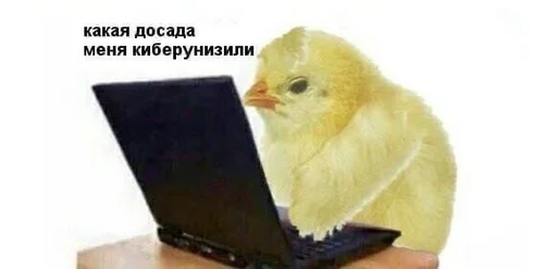 😿 Стикер «Cvcv» для Telegram