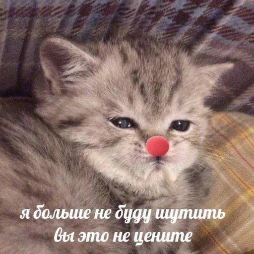 ☹️ Стикер «Cvcv» для Telegram