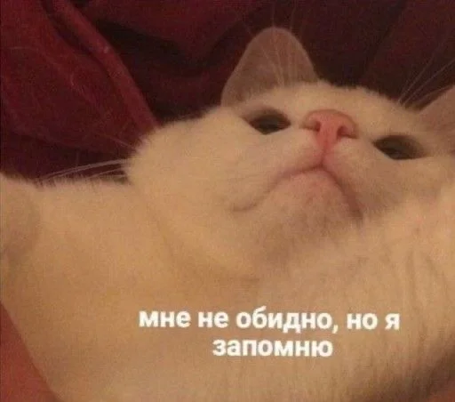 👾 Стикер «Cvcv» для Telegram