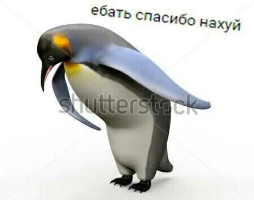 🔪 Стикер «Cvcv» для Telegram